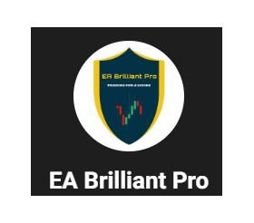 EA Brilliant Pro 4.2 (2024)