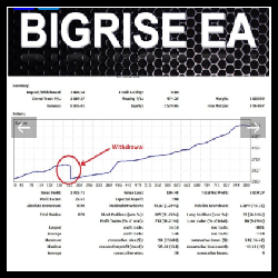 BigRise EA