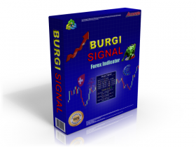 Burgi Signal