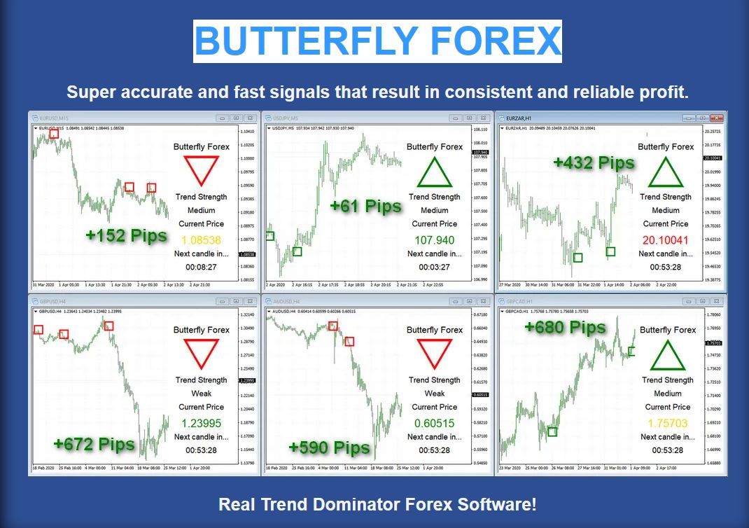 Butterfly Forex