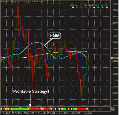 FGM Profitable Trading System