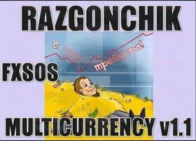 FXSOS-Razonchik MultiCurrency