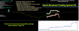 Forex Smart BreakOut Hedge