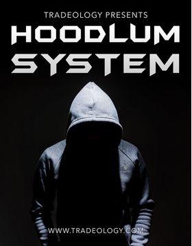 Hoodlum System