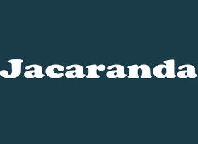 Jacaranda