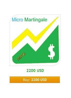 Micro Martingale