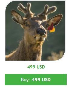 Reindeer Scalper Pro